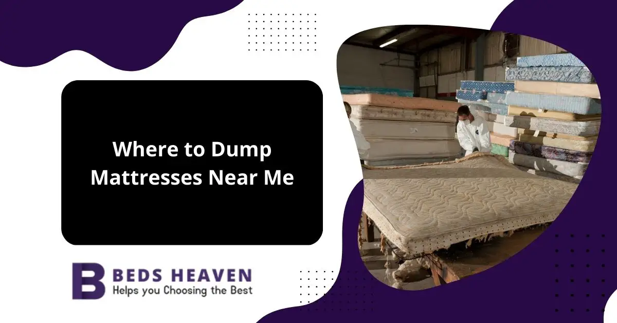the dump mattresses reviews